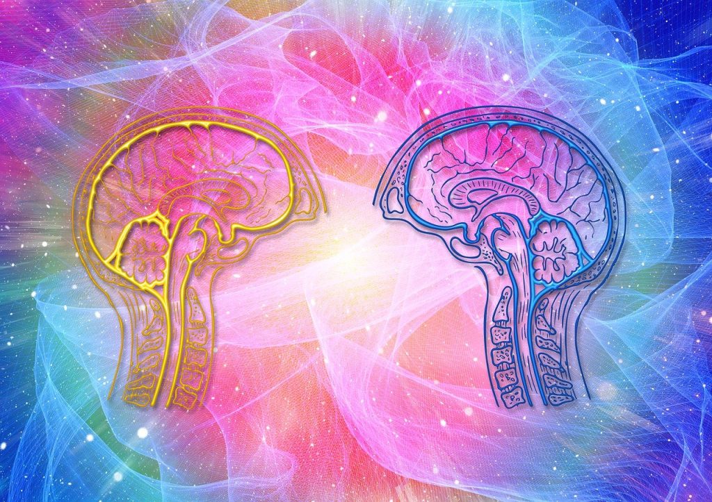 Metacognition: Creating Reflective Learners