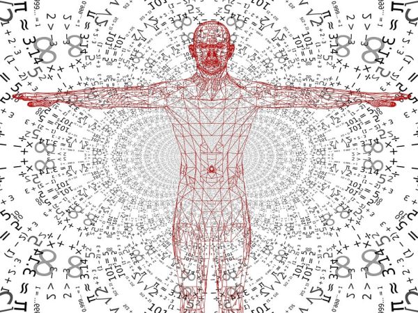 MYP Curriculum Playbook